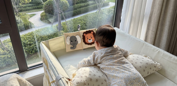 Babies (0 - 12 months)